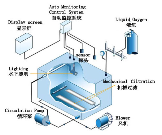 渔业物联网整体解决方案